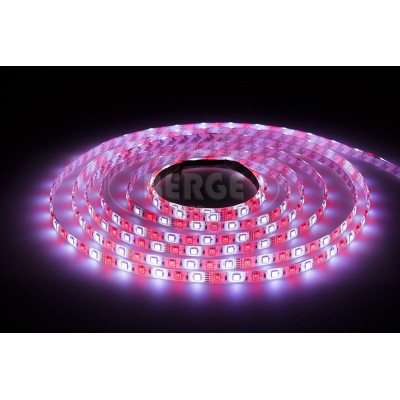 ECOLIGHT LED pásek - RGB+CW - 2,5m - 60LED/m - 14,4W/m - 1500Lm - IP65 - SADA