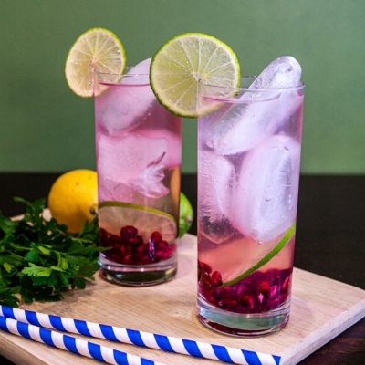 Paclan Sáčky na led XXL - 10 ks