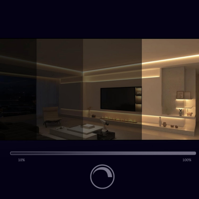 BERGE LED pásek COB Neon CCT 24V - 608D - 22W/m - IP20 - 1m